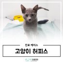 루아동물병원 이미지