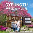 꿈이있는사과나무 | 경주월드 스콜앤하티 드라켄 놀이기구 후기 | 뚜벅이 경주여행