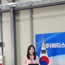 주식회사메티스