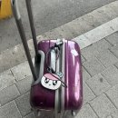 유경빨래방 | 9.13~9.18 태국 치앙마이 여행