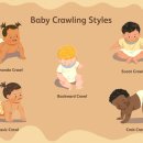 네발친구 이미지