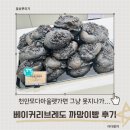 천안모다아울렛 가면 꼭 들러야 하는 베이커리브레도! 우리쌀 까망이 후기