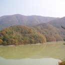 참봉목장 Daum카페