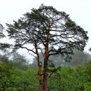 금강의하루민박 이미지