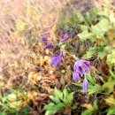 영통성모정형외과의원 이미지