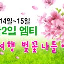 ◑ [ 남이섬 벚꽃나들이 + 와인파티 엠티 ] ◑ 4월14일~15일 - 1박2일~ 4륜바이크, 번지점프까지 ◑ (부제 : 이성과함께 짜릿하고 즐거운 봄소풍여행 ) 이미지