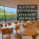 경주하늘 여니 | [오아르미술관] 첨성대 대릉원 근처 경주 뷰 맛집 건축가 카페 내돈내산 후기