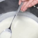 멜니짜2