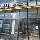 캉스펫 | 평택 애견미용 포메 곰돌이컷후기 캉스펫