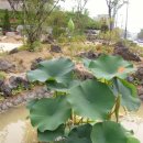 조원도서관 이미지