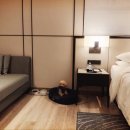 챠밍애견 이미지