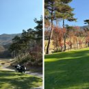 (주)신니개발 티스토리