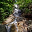 상서농장 | 349.경남 산청 둔철산(823m) 모처럼 행복했던 여름날 遊山의 진수(2023.8.26)