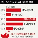 일종축사 이미지