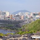 용두횟집 - 여수시 대경도길 12 | 용두횟집