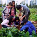 학교농장 이미지