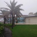 해비치호텔세탁실 이미지