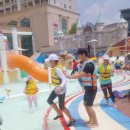 새미래 소나무향기태권도 이미지