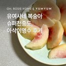 영수슈퍼 | 유여사네 복숭아 | 슈퍼천중도, 아삭이영수 내돈내산 먹어봤어요. (복켓팅)
