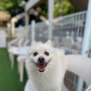 아이조아요양보호소 동탄점 네이버블로그