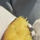 전곡스테이 이미지