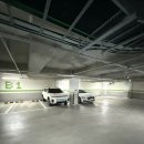 와이제이프라자 | [수원] 호매실미용실 1인샵 빨간 머리 클리닉 후기 : 봄온헤어