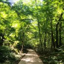 JN 행정사 사무소 이미지