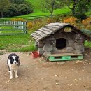 장순목장 이미지