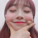 츄스토리