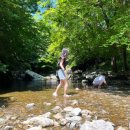 흥정계곡캠핑700 이미지