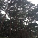 구름산장펜션 이미지