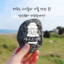 제주마린리조트 영어조합법인 | 제주도아이랑가볼만한곳 실내 여행지 및 액티비티 투어!