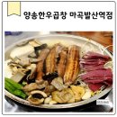 양송곱창 | 발산역곱창 양송한우곱창 마곡 발산역점 야장