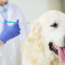 이스턴동물병원 이미지