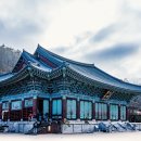 산사가는길 Daum카페