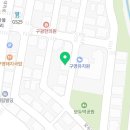 구영 고양이 무마취 미용 이미지