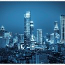 포레스트541 이미지