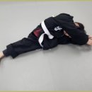 화랑합기도 특공무술 이미지