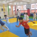 칭찬태권도장 이미지