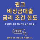 핀크 비상금대출 총정리 이미지