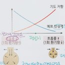 고양이 2019 21단원 5번 이미지