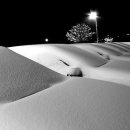 주정차단속-6 이미지