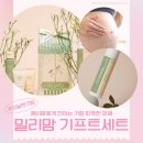 오일앤워시 | 신생아 임산부 선물 튼살크림 밀리맘 오일앤크림 후기