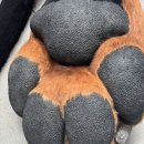 꿀강아지 테리하우스 | 하우스노웨어 성수 팝업 후기·주말 웨이팅 | 누플랏·어티슈·누데이크 리뷰