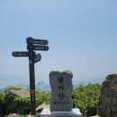 완도12호 이미지