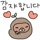 SP-5316 네이버블로그