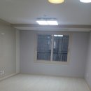 펠리시티2차 이미지