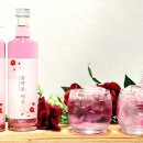 (주)동백 삼다일보