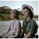 밀밭에서 이미지