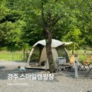 스마일스톤 | 경주 스마일캠핑장 애견동반 캠핑장 B4 후기
